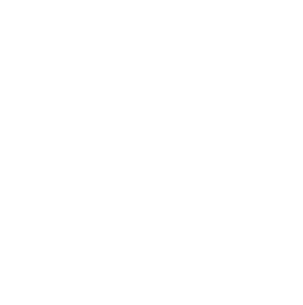 Nemo Logo Fade
